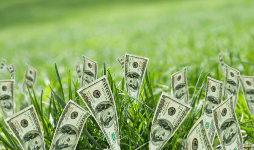 [Image: giau-co_OHQB.jpg]