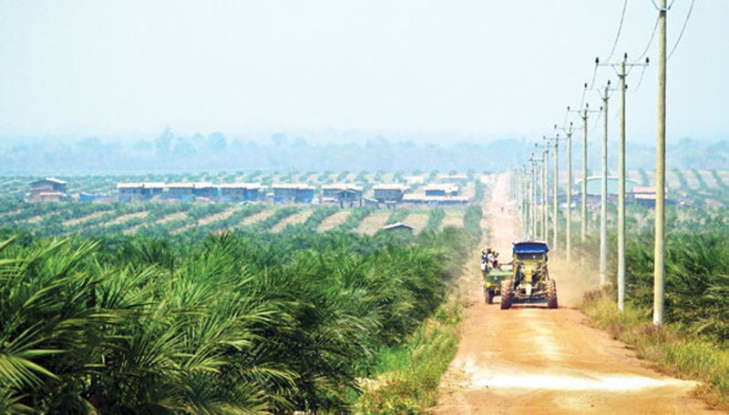 Thâu tóm nhà máy đường của HAG, SBT như "hổ thêm cánh" ảnh 2